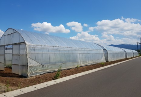 ビニールハウスの例